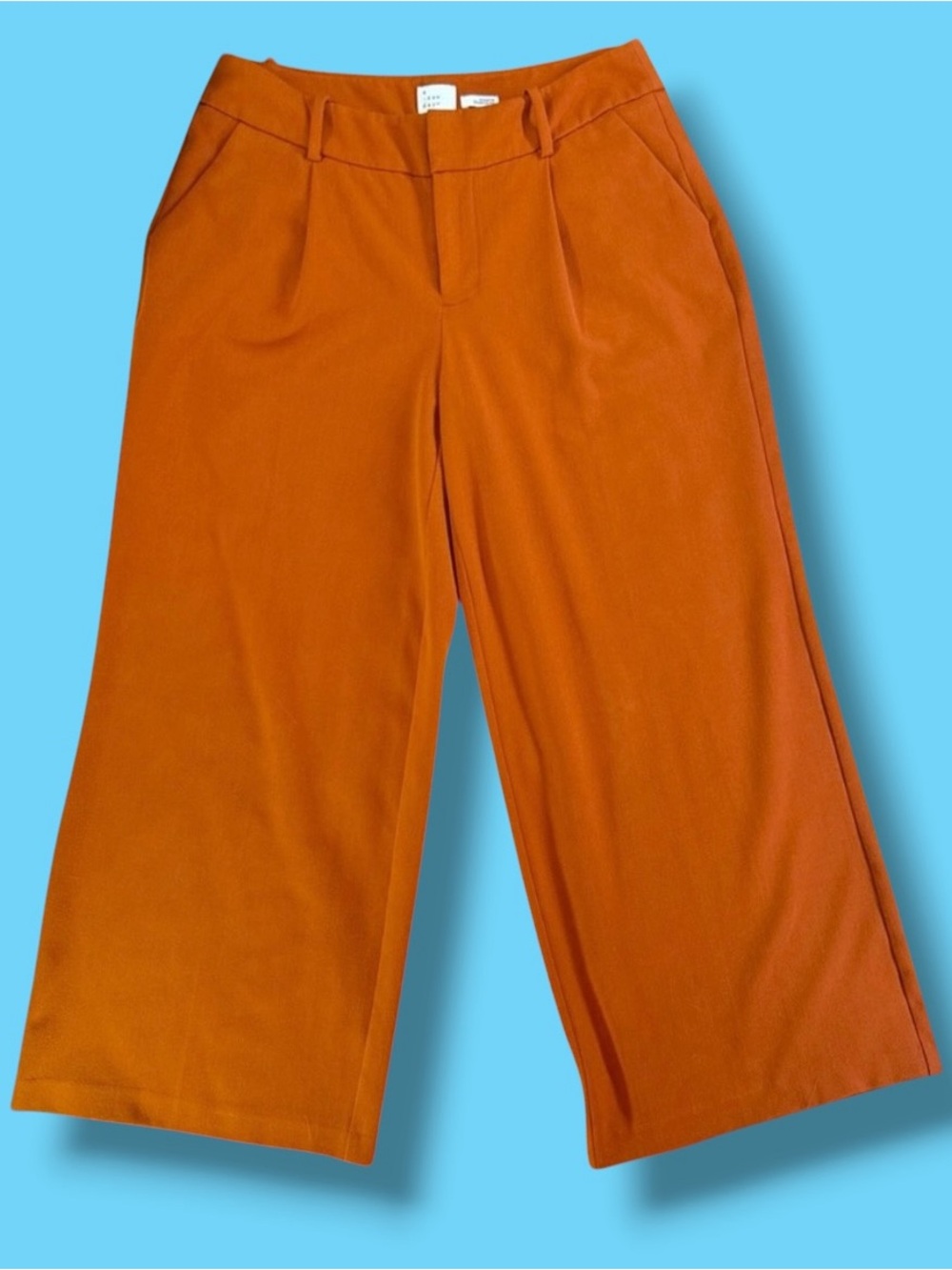 Cropped Wide Leg Pants in Burnt Orange
